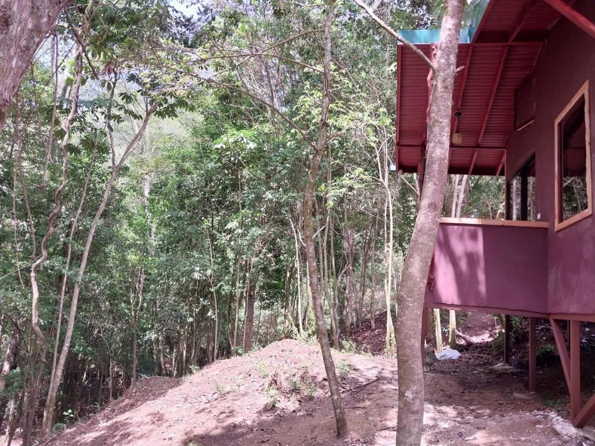 Curuba Lodge Copey 외부 사진