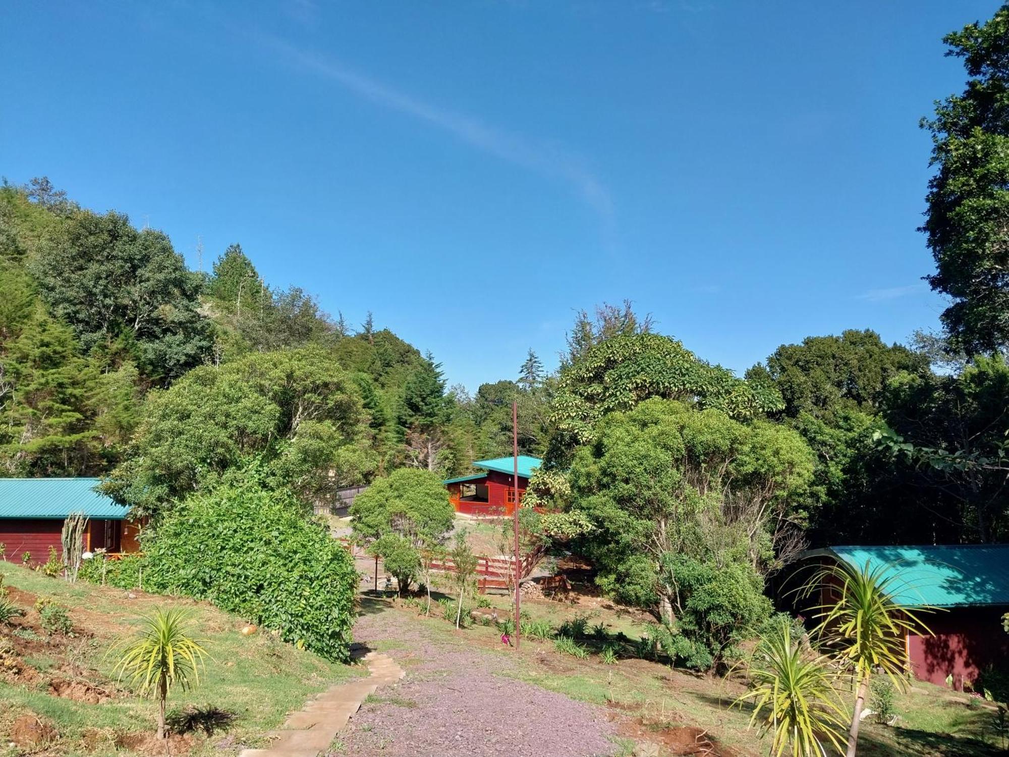 Curuba Lodge Copey 외부 사진