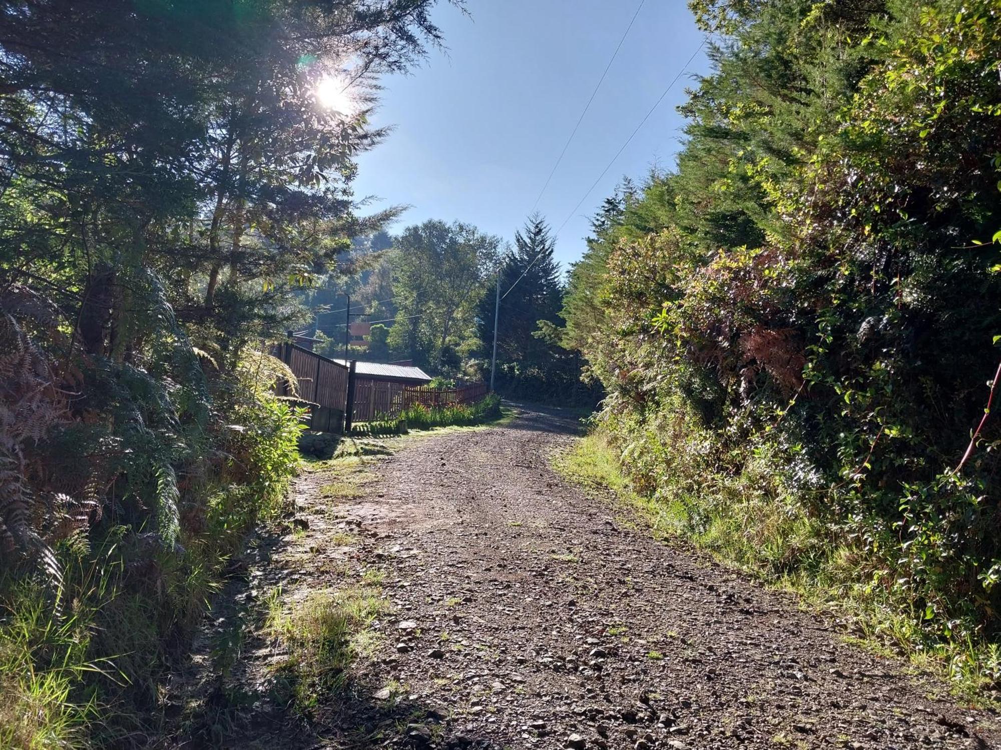 Curuba Lodge Copey 외부 사진
