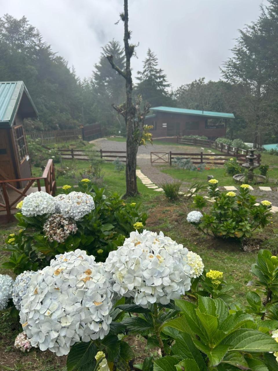 Curuba Lodge Copey 외부 사진