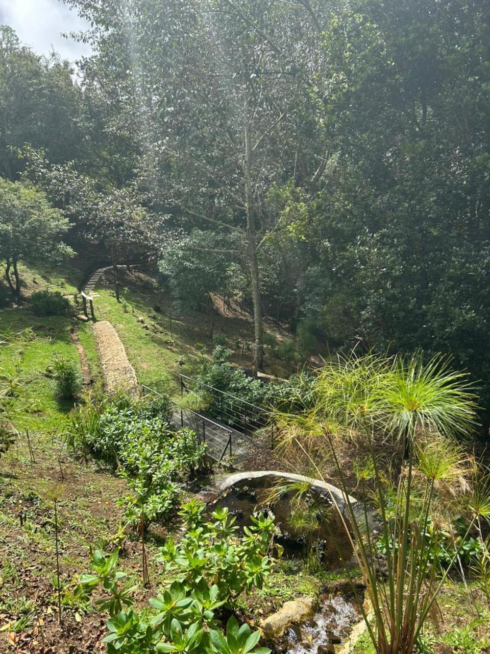 Curuba Lodge Copey 외부 사진