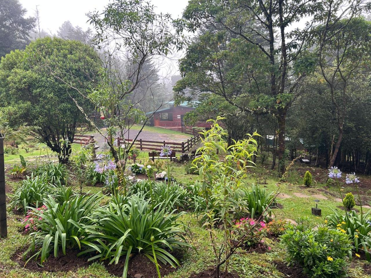 Curuba Lodge Copey 외부 사진