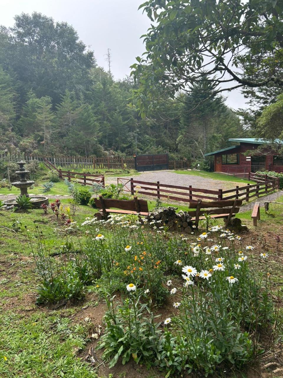 Curuba Lodge Copey 외부 사진